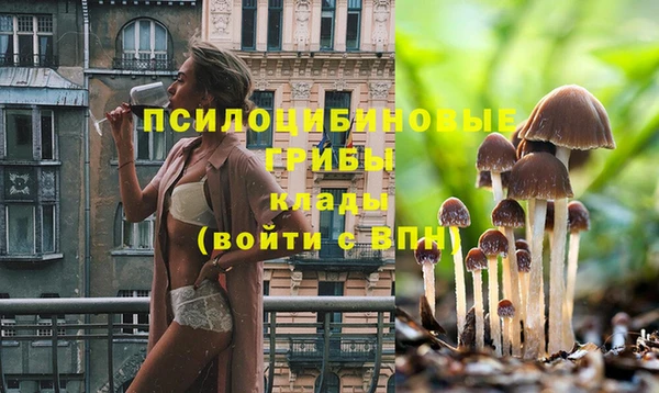 дмт Балабаново